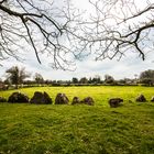 Lough Gur Stone Circle