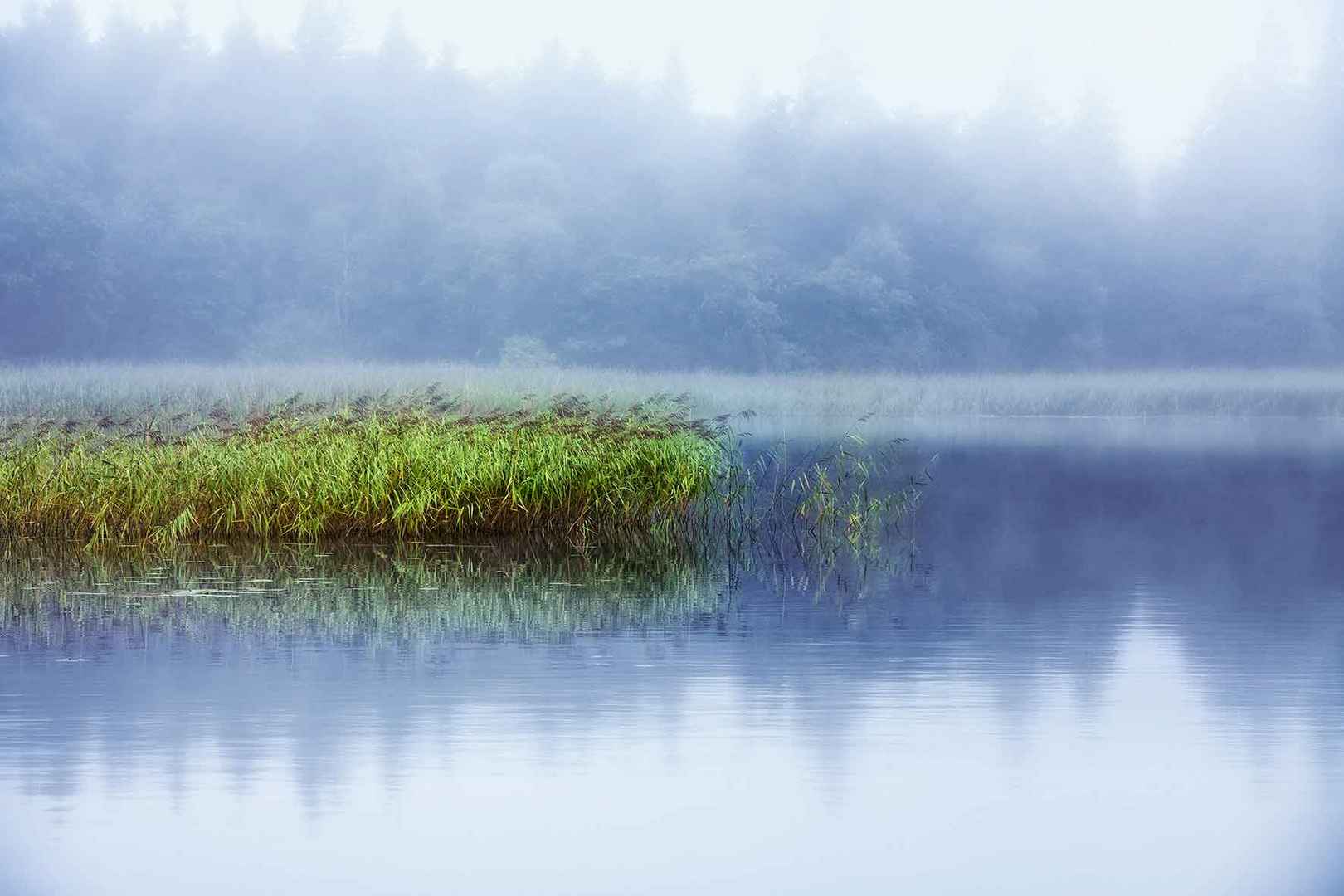 Lough-Key morgens im Nebel, Irland