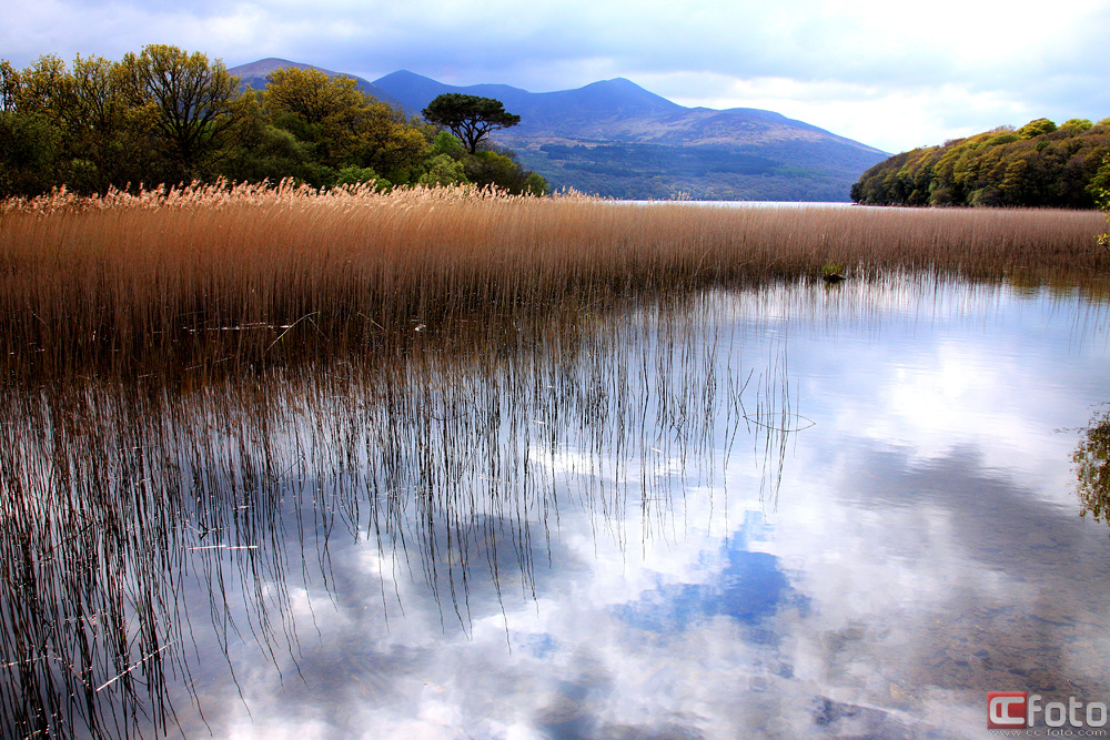 Lough Leane @ Ross Island