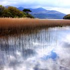 Lough Leane @ Ross Island