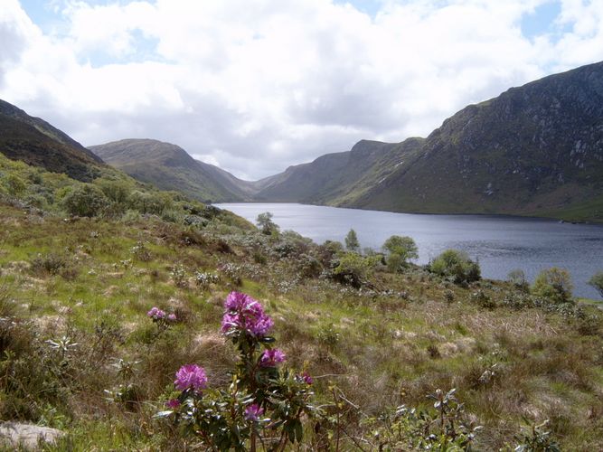 Lough Veagh, Glenveagh National Park, Co.Donegal (Irland)