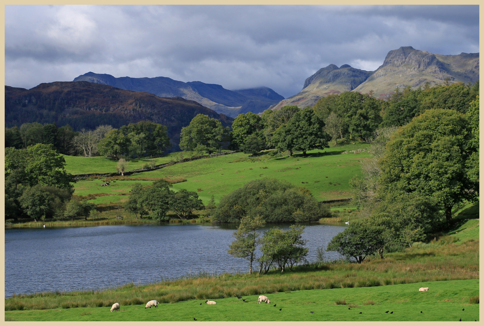 Loughrigg tarn 1