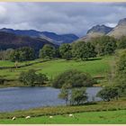 Loughrigg tarn 1