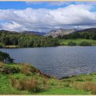 Loughrigg tarn 14