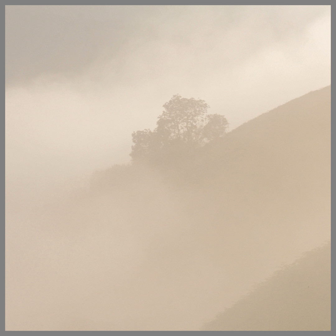 Loughrigg Terrace misty morning