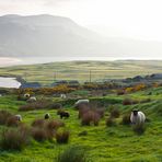 Loughros Point, Ardara