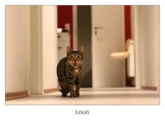 Louis on the run...