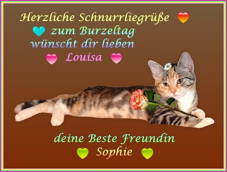 Louisa feiert heute ihren 1. Geburtstag