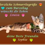 Louisa feiert heute ihren 1. Geburtstag