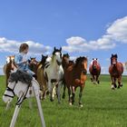 Louisa kann reiten!  / Louisas horseriding