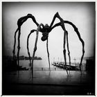 . Louise Bourgeois. Zuerich.