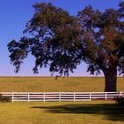 Louisiana