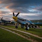 Louisiana Kid - P51 Mustang