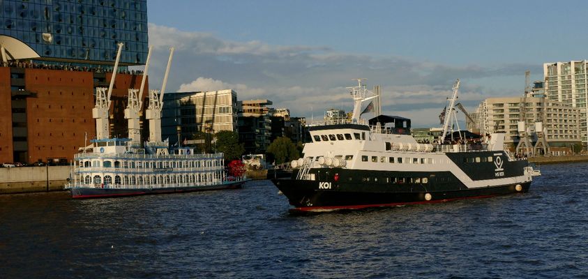 Louisiana Star vs. KOI