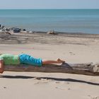 Lounging on Driftwood