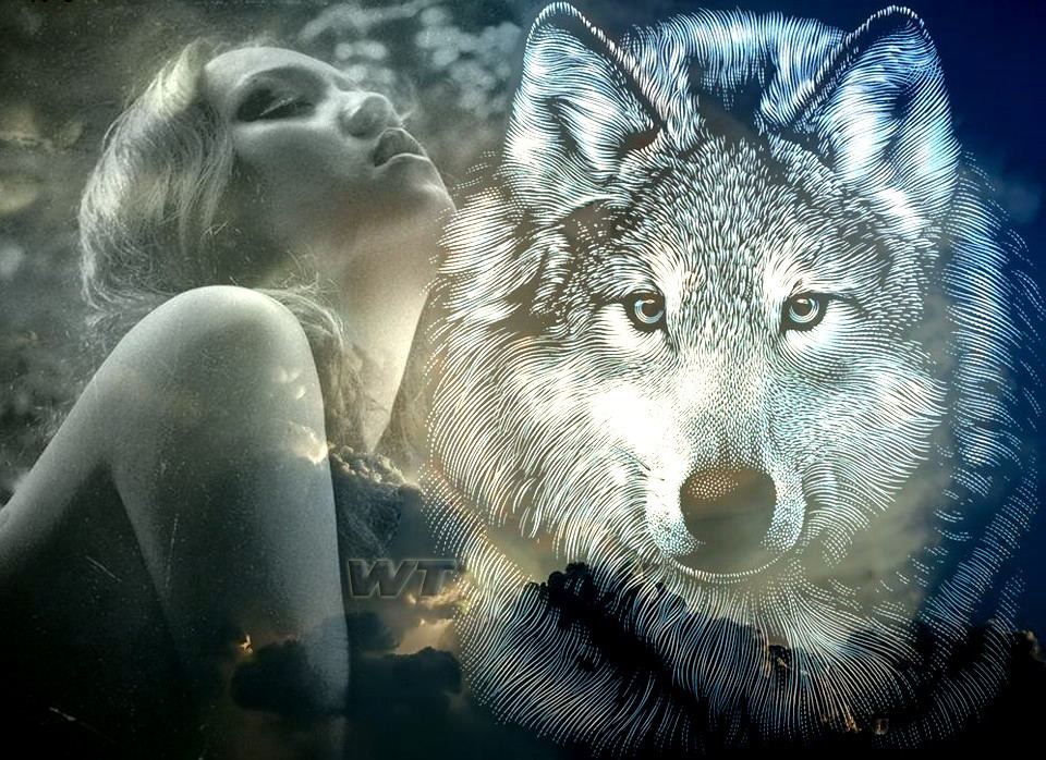 loup & femme