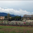 Lourmarin