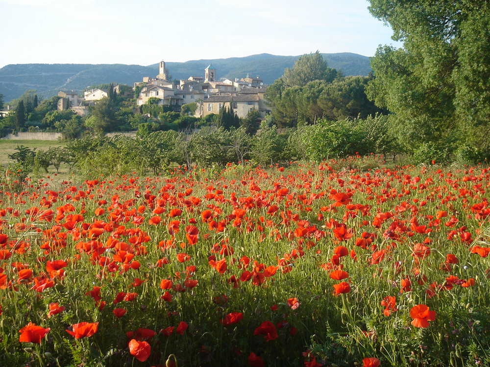 Lourmarin in der Provence