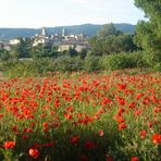 Lourmarin in der Provence