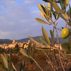 Lourmarin sous les couleurs d'octobre