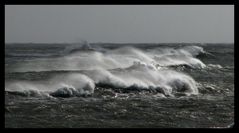 L'ouverture du grand "Opéra" de la nature