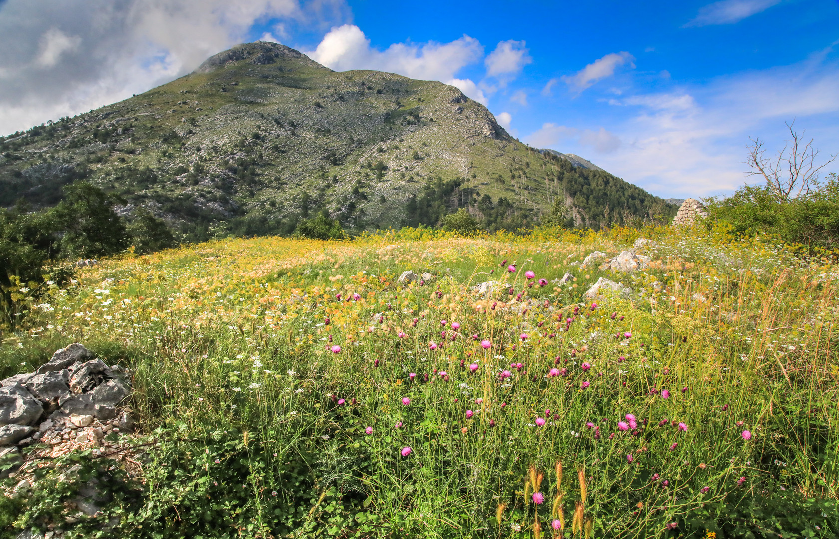 Lovcen NP 5