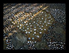 Love always Love...Happy New Year !!