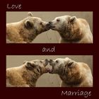 Love and Marriage