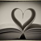 Love Book