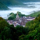 Lové dans la brume