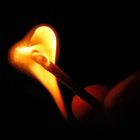 LOVE FIRE...