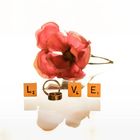 LOVE - Hochzeitsringe