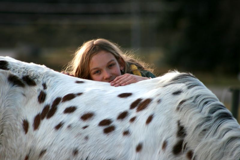 Love horses