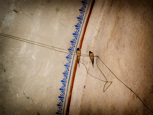 Love is all around....(2)