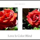 "Love Is Color Blind"