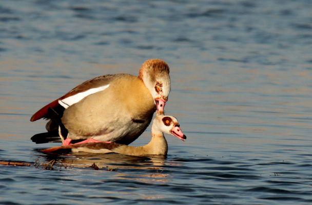 Love is in the air ;-)