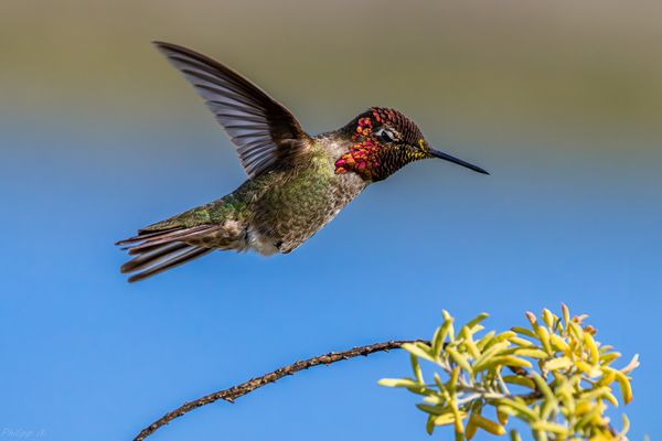 Love is in the air…