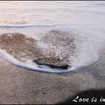 Love is in the sea...