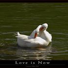 Love is Now