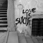 Love is suicide