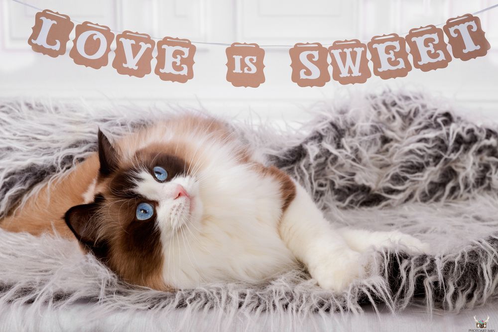 Love is sweet...