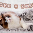 Love is sweet...