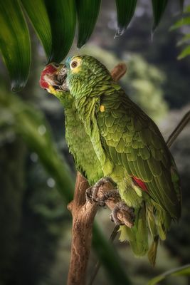 Love, Love, Love, All You Need Is Love