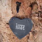 Love nest 