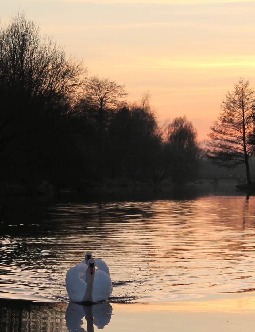 Love on the river