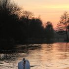 Love on the river