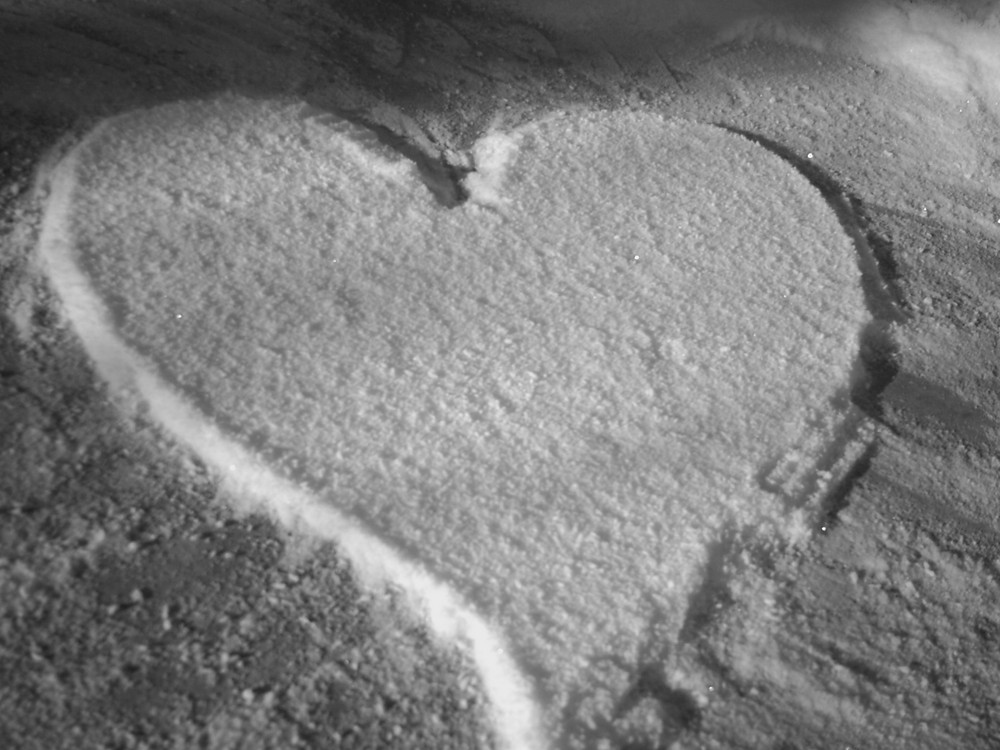 Love on Winter