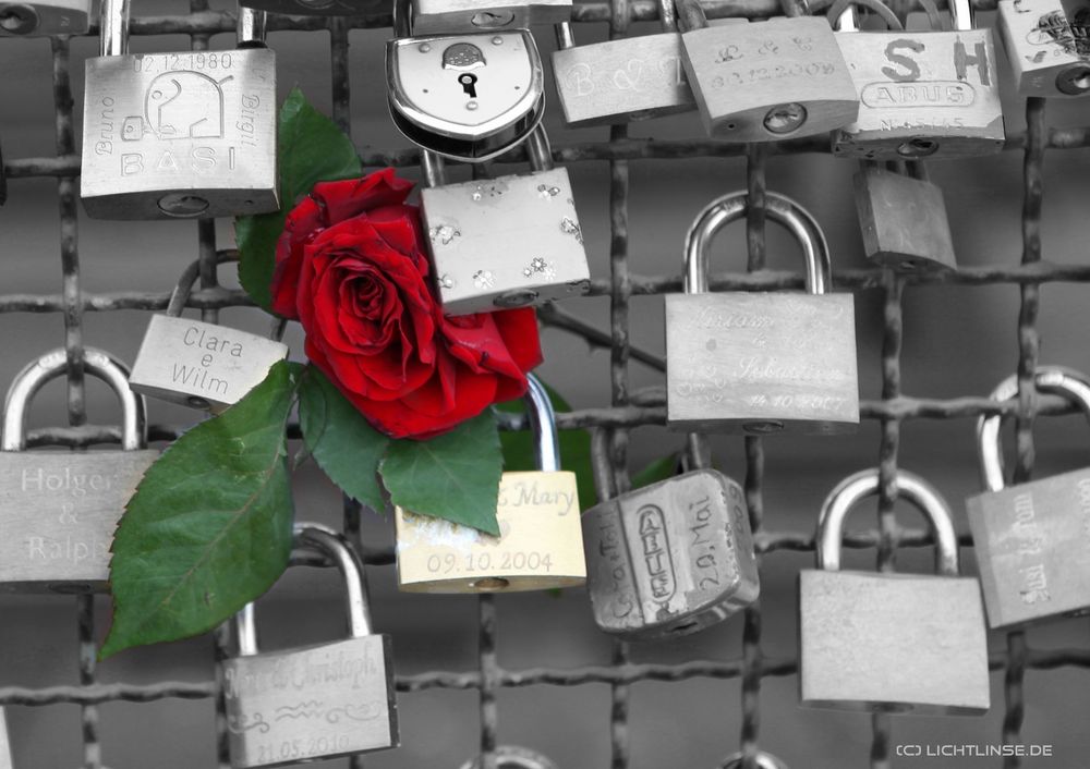 Love-Padlocks Cologne3