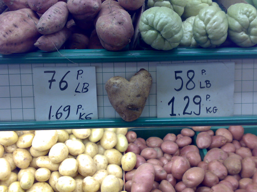 Love potato