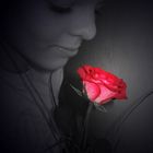 love red rose